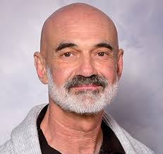 The Viral Information Institute