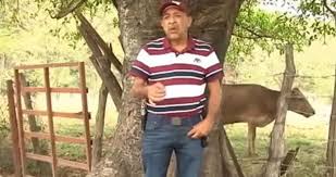 Image result for jalisco cartel new generation