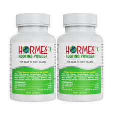 What Is The Difference Between Using Rooting Hormone Powder And Not Using  It When Trying To Make Different Types Of Plants Root? - Quora