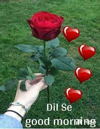 Pin By Jai Raghvendra On Good Morng Noon Evening Good Morning Images Good Morning Good Night Morning Images