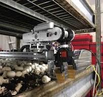 Dorna Robotics for the Food & Beverages Industry | Dorna ...