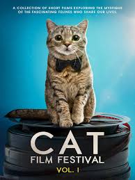 Cats (cats, 2019) é o mais novo homenageado no nosso rol do desprestígio. Watch Kedi Prime Video