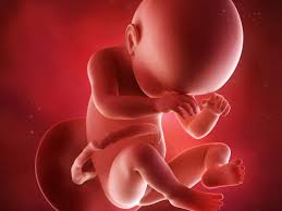 We did not find results for: 38 Weeks Pregnant Relax Your Baby Will Arrive Soon Times Of India