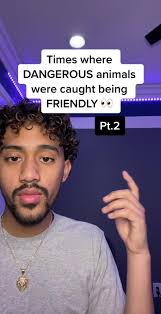 Friendly but Dangerous Animals Caught