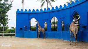 The total distance is 123 kilometers. Camel Republic Cha Am Hua Hin City Guide