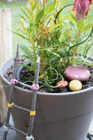 Diy Fairy Garden Accessories Diy Network Blog Made Remade Diy