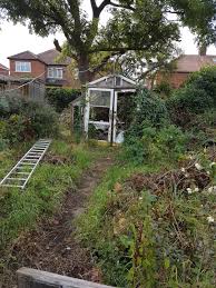 We'll start with basic recommendations on how to handle an overgrown garden. Overgrown Garden Bbc Gardeners World Magazine