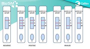 Kit Screening Rapid Test Cellex Specific Anti Bodies Igm Igg To Covid 19