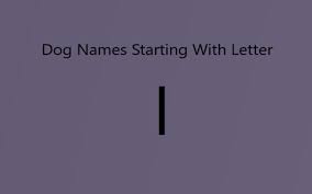 Discover names starting with k. Extraordinary Dog Names Starting With Letter I Both Male And Female Dogs