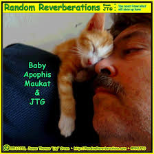 Visually enhanced, image enriched topic search for xbox one gamerpics 1080x1080 cats. Hot Men And Cats For Themis