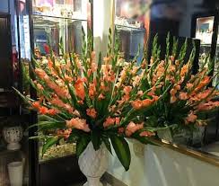 Đặt đĩa sâu lên trên miệng bình. HÆ°á»›ng Dáº«n Cach Cáº¯m Hoa Lay Æ¡n Tá»« A Ä'áº¿n Z Cho Táº¿t Them Sung Tuc Websosanh Vn