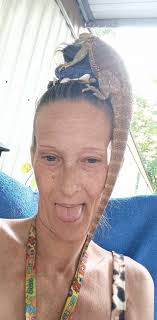 What am I doing wrong with my bearded dragon's care?