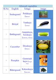 Veeramachaneni Ramakrishna Food Programme For Diabetes