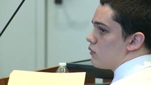 I think of killing someone and I smirk': Teen accused of beheading  classmate was jealous, lawyer says