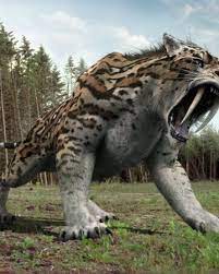 3d digital render of a smilodon or a saber toothed cat isolated on white background. Smilodon Anomaly Research Centre Fandom