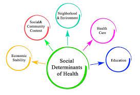 In reality, getting your first health insurance plan does not have to be daunting. Addressing Social Determinants Of Health Lippincott Nursingcenter