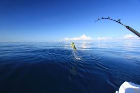 Jun 05, 2021 · maintenance for the week of july 26: 5412562 Fishing Wallpaper For Computer Cool Wallpapers For Me