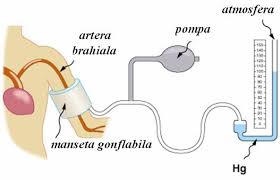 Să se calculeze densitatea bioxidului de carbon (co2) aplicaţii. Curs Iv Fluide Mecanica Fluidelor Pdf Free Download