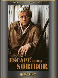 Netflix and third parties use cookies and similar technologies on this website to collect information about your browsing activities which we netflix supports the digital advertising alliance principles. Watch Escape From Sobibor On Netflix Today Netflixmovies Com