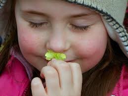 Gail Brenner, Author at Grateful.org