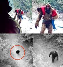 Bigfoot Attacks Cyclists On Appalachian Trail In 2025 | BIGFOOT ENCOUNTER