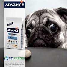 Advance Dog Medium Light Yetiskin Agirligi 10 Kg Ile 30 Kg Olan Asiri Kilolu Yada Obezite Sinirinda Olan Orta Irk Kopekler Icin Ozel Olarak Fo Kopek Ordu Bilgi