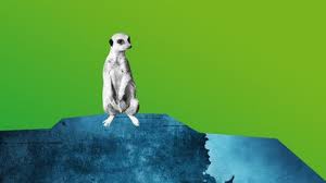 Oder steckt womöglich doch jemand anders hinter dem mord? Rhythm And Love Tatort Aus Munster Wdr 5 Wie War Der Tatort Wdr 5 Wdr Audiothek Mediathek Wdr