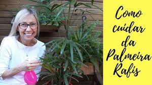 ➡ ao sinais de desgaste da máscara deve ser inutilizada e nova máscara deve ser feita. Como Cuidar Da Palmeira Rafis Plantas Jardinagem Paisagismo Jardim Flores Youtube