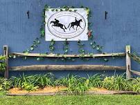 CDCT Dressage in Wine Country I & II
