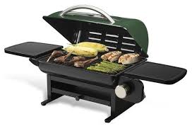 Maybe you would like to learn more about one of these? Cgg 220 Everyday Portable Gas Grill Outdoor Grilling Products Cuisinart Com Grilling Portable Grill Camping Grill