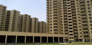 Gurugram Palm Grove Heights Aoa Takes Over Society Maintenance Maintenance Aoa Backyard