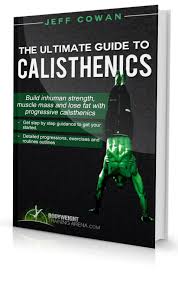 Calisthenics Fundamentals Ebook Cyber Monday Special