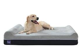 Laifug Orthopedic Memory Foam Extra Large Dog Bed Pillow 50 X36 X8 Slate Grey Durable Water Proof Liner Rem Dog Pillow Bed Extra Large Dog Bed Dog Bed Large