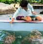 Phuket Happiness Trips Turtle village from forevervacation.com