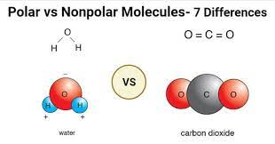 Polar Vs Nonpolar Molecules Definition 7 Key Differences Examples