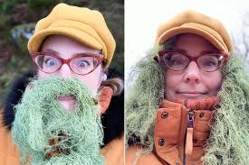 dartmoor christmas 2019