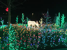 Lighted Deer Drinking Water Among A Field Of Flowers Holiday Lights Display Christmas Display Decorating With Christmas Lights
