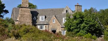 Image result for Trichopteryx fruticulosa