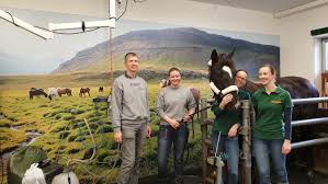 Pferdepraxis Manfred Stoll