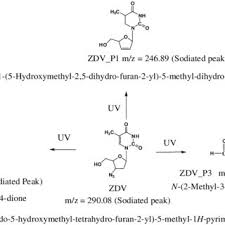 At finepov you can see many videos at category. Pdf Photocatalytic Degradation Of Pharmaceutical Drug Zidovudine By Undoped And 5 Barium Doped Zinc Oxide Nanoparticles During Water Treatment Synthesis And Characterisation