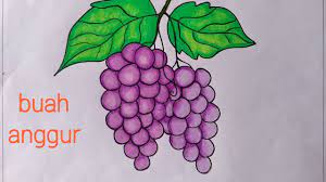 Check spelling or type a new query. Menggambar Buah Anggur Cara Menggambar Buah Untuk Pemula Youtube