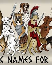 110 Norse Viking Dog Names With Definitions Pethelpful By Fellow Animal Lovers And Experts Here you'll find over 175 viking dog names! 110 norse viking dog names with