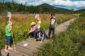Fur Kinder Ist Der Naturpark Almenland Rund Um Die Teichalm Ein Abenteuerspielplatz Der Besonderen Art Almenland Naturparkalmenland Moorweg Alm Park Natur