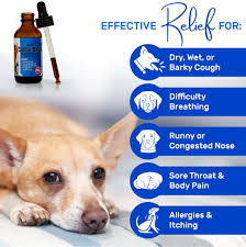 Amazon.com : Dog Cough Treatment