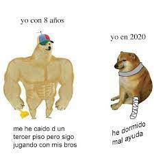 Ninos Antes Quekorra De 8 Anos Memedelperro Momos Memesespanol Memesenespanol Siguemeytesigo Sigodevolta Sdv En 2020 Memes Memes Divertidos Memes Comicos