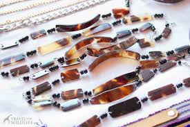 They are known for their beautiful brown shell, mottled with dark and light spots and streaks, which was once commonly used to make tortoiseshell jewelry. How To Identify And Avoid Sea Turtle Shell Souvenirs Travel For Wildlife