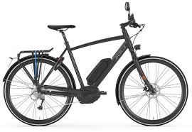 Gazelle Cityzen Speed Heren 45km Elektrische Fiets Fiets Stadsfiets