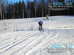 Goalkeeper viktor klintsten has shown great form during the playoffs and it is needed against falun's sharp offensive forces , says ahnberg. Bisslinge Skidspar