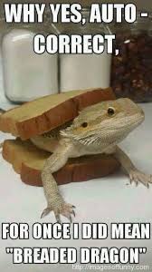 Pin By Gigi Deal Of Krazyheartdezig On Bearded Dragon Baby Bearded Dragon Bearded Dragon Bearded Dragon Funny