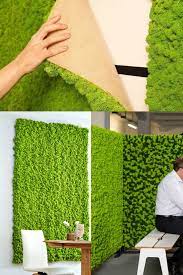 How to make your own wall of moss. Diy Moss Wall Set Set Of 2 Moss Panels Moss Wall Clinic Design Moss